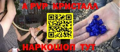 эйфоретик Можга